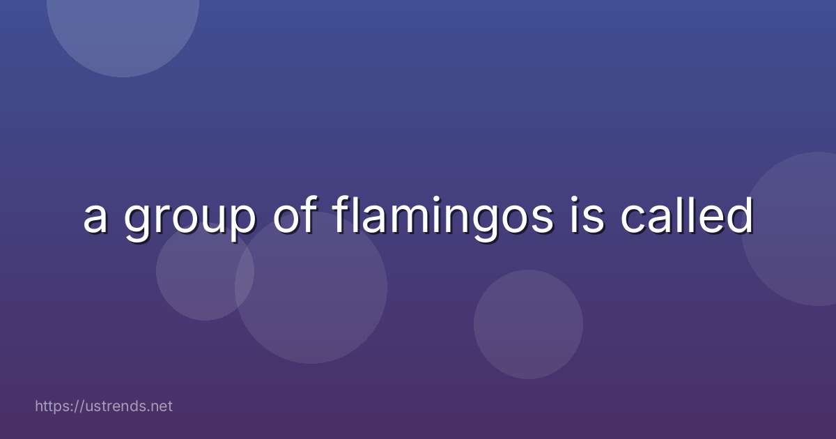 a group of flamingos is called