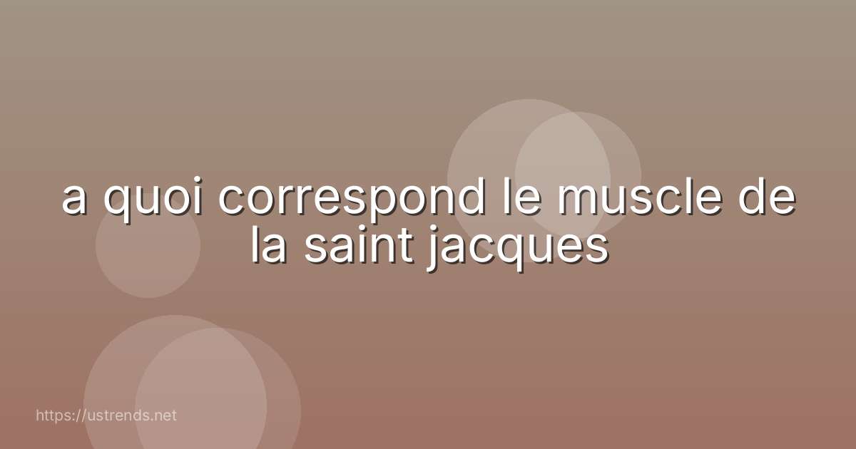 a quoi correspond le muscle de la saint jacques