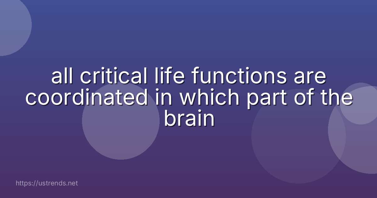 all critical life functions are coordinated in which part of the brain