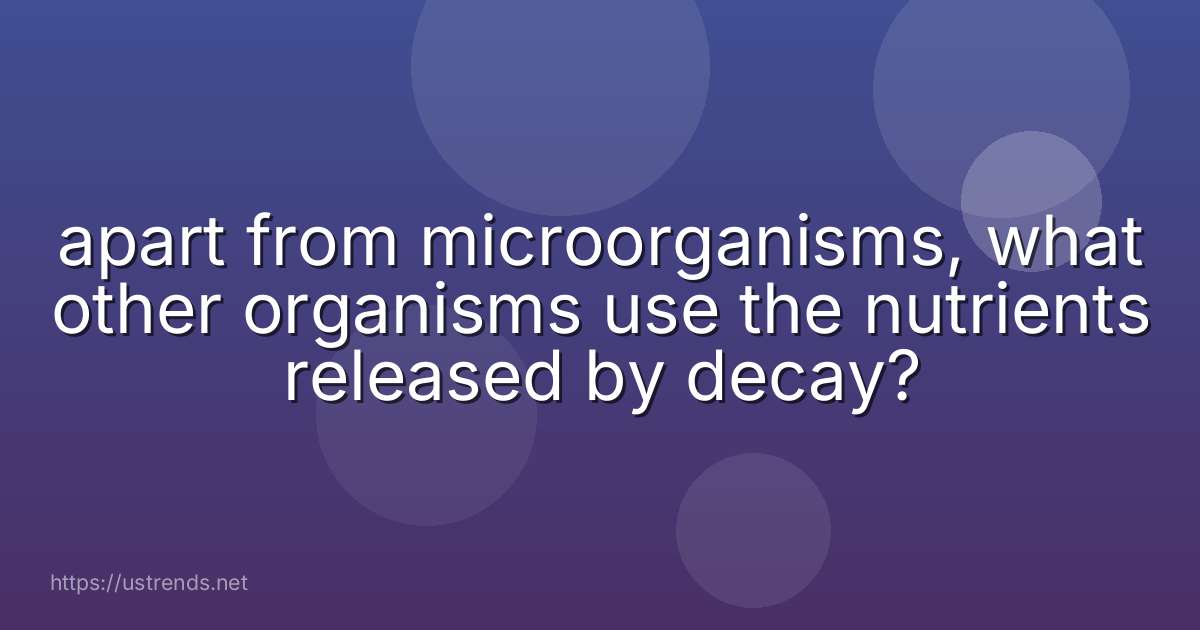 apart from microorganisms, what other organisms use the nutrients released by decay?