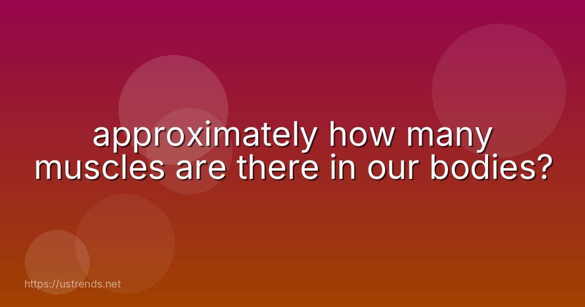 approximately how many muscles are there in our bodies?