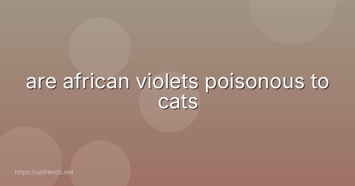 are african violets poisonous to cats