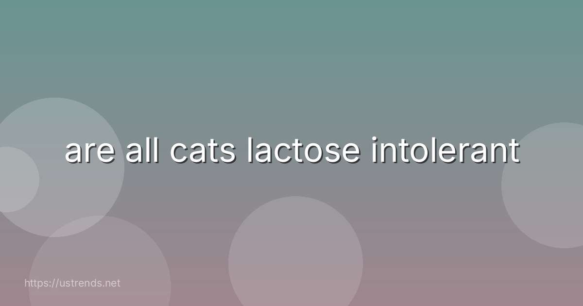 are all cats lactose intolerant