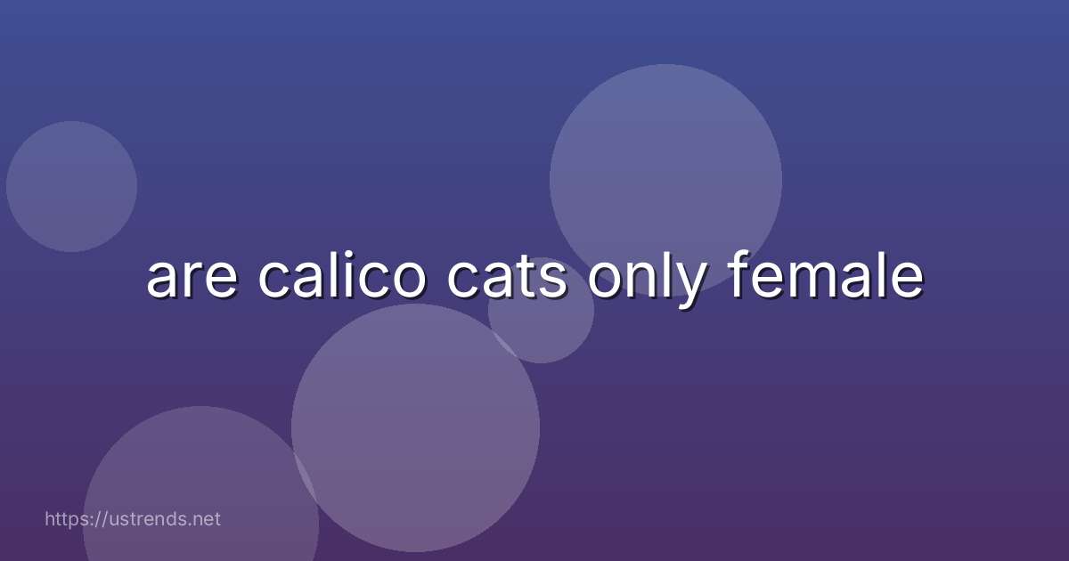 are calico cats only female