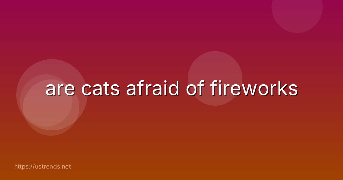 are cats afraid of fireworks