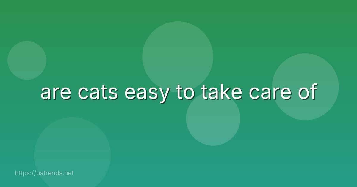 are cats easy to take care of