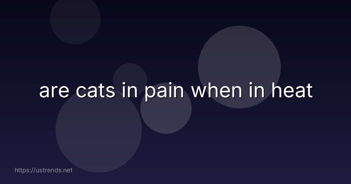 are cats in pain when in heat
