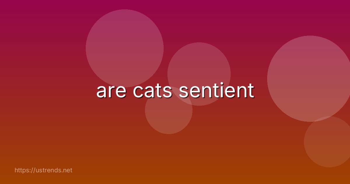 are cats sentient