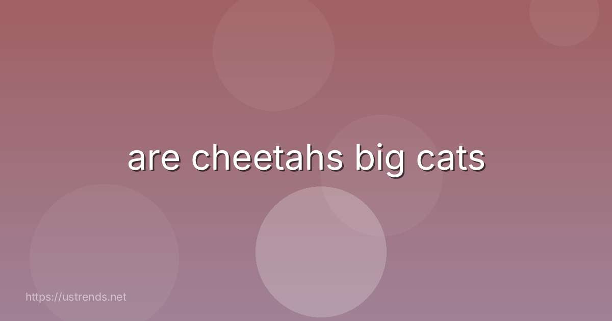 are cheetahs big cats