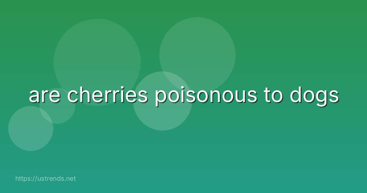 are cherries poisonous to dogs