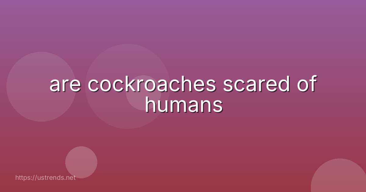 are cockroaches scared of humans
