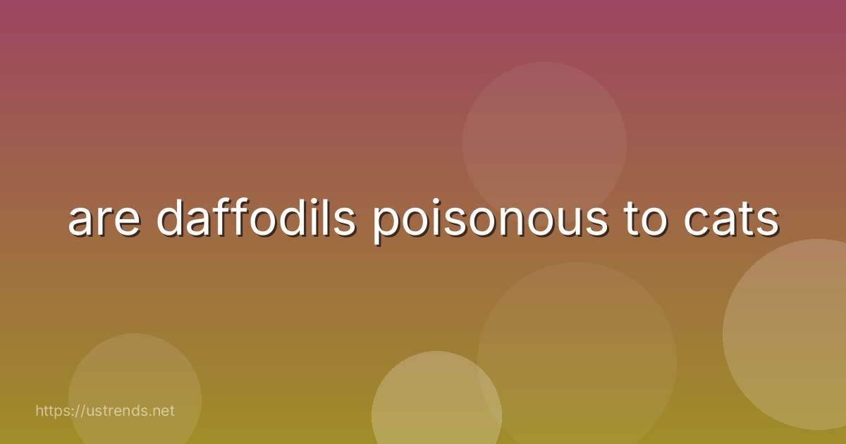 are daffodils poisonous to cats