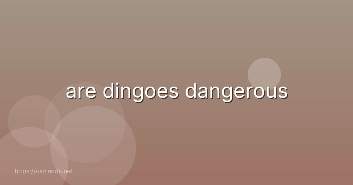 are dingoes dangerous