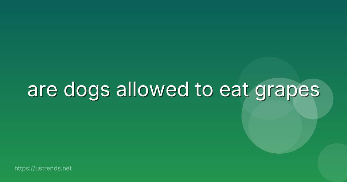 are dogs allowed to eat grapes
