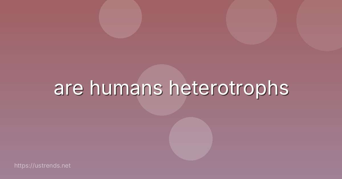 are humans heterotrophs