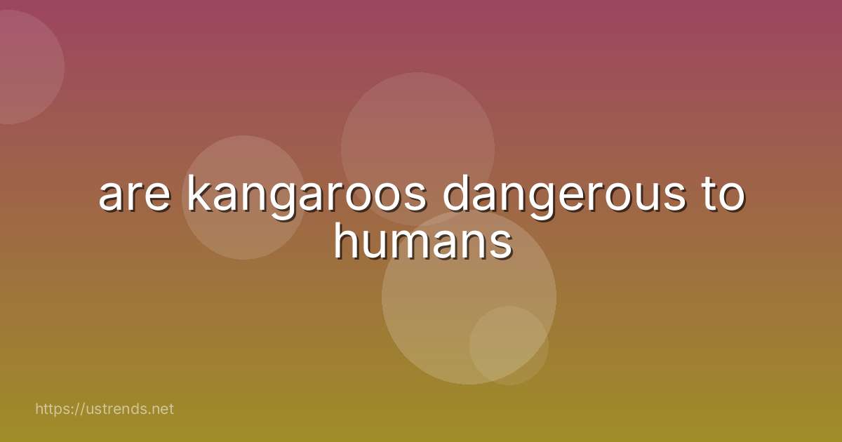 are kangaroos dangerous to humans