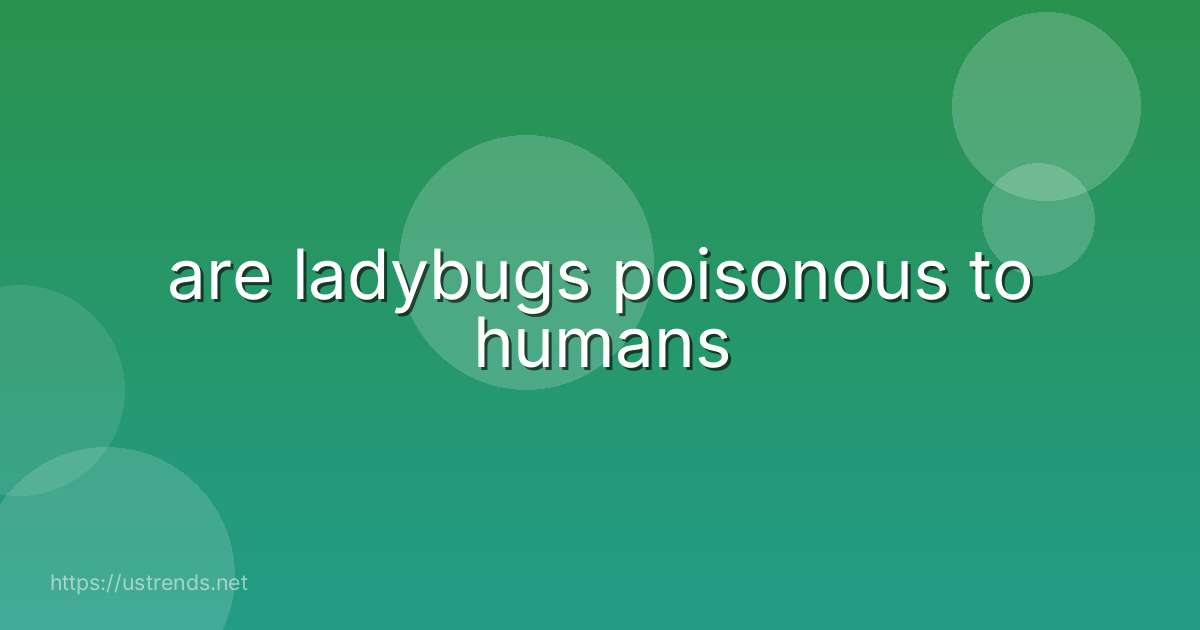 are ladybugs poisonous to humans