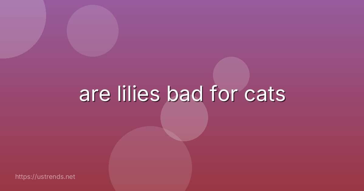 are lilies bad for cats