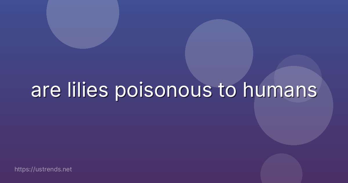 are lilies poisonous to humans