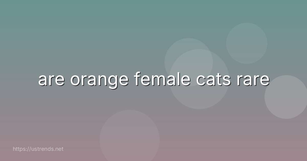 are orange female cats rare