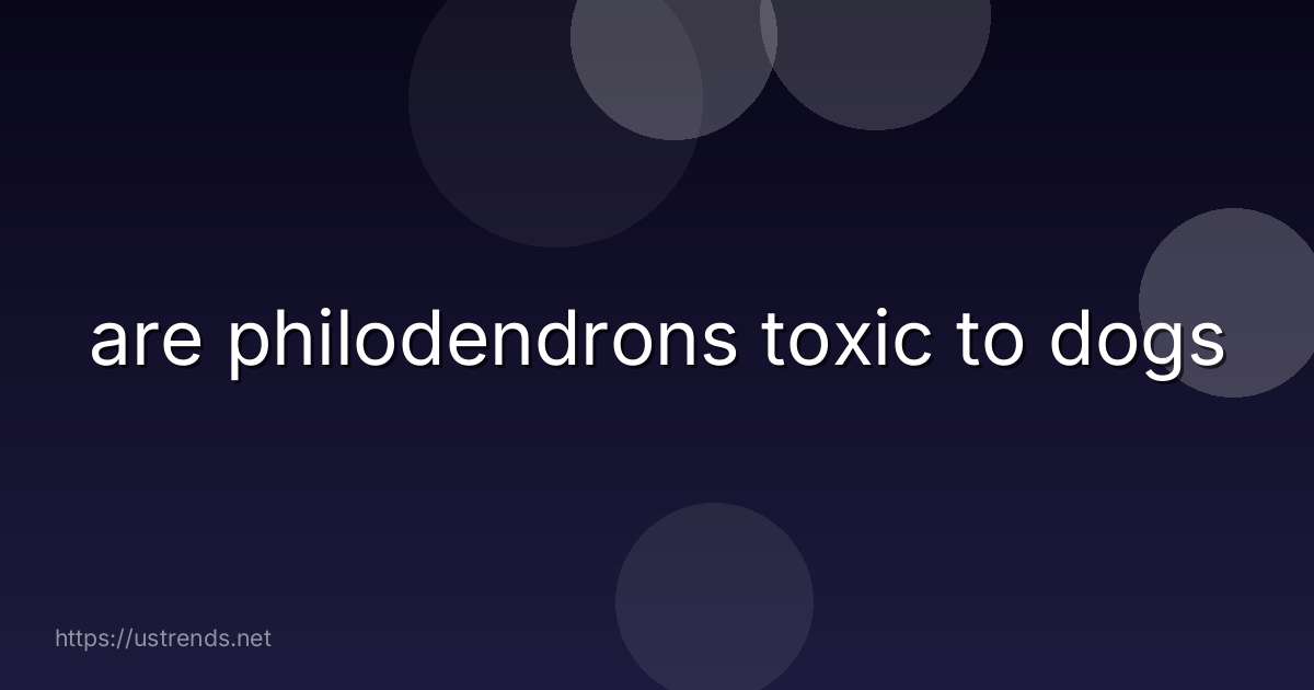 are philodendrons toxic to dogs