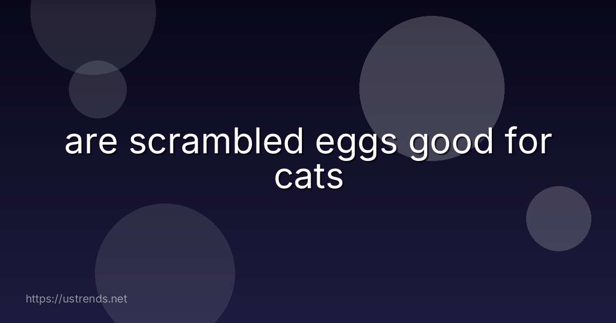 are scrambled eggs good for cats