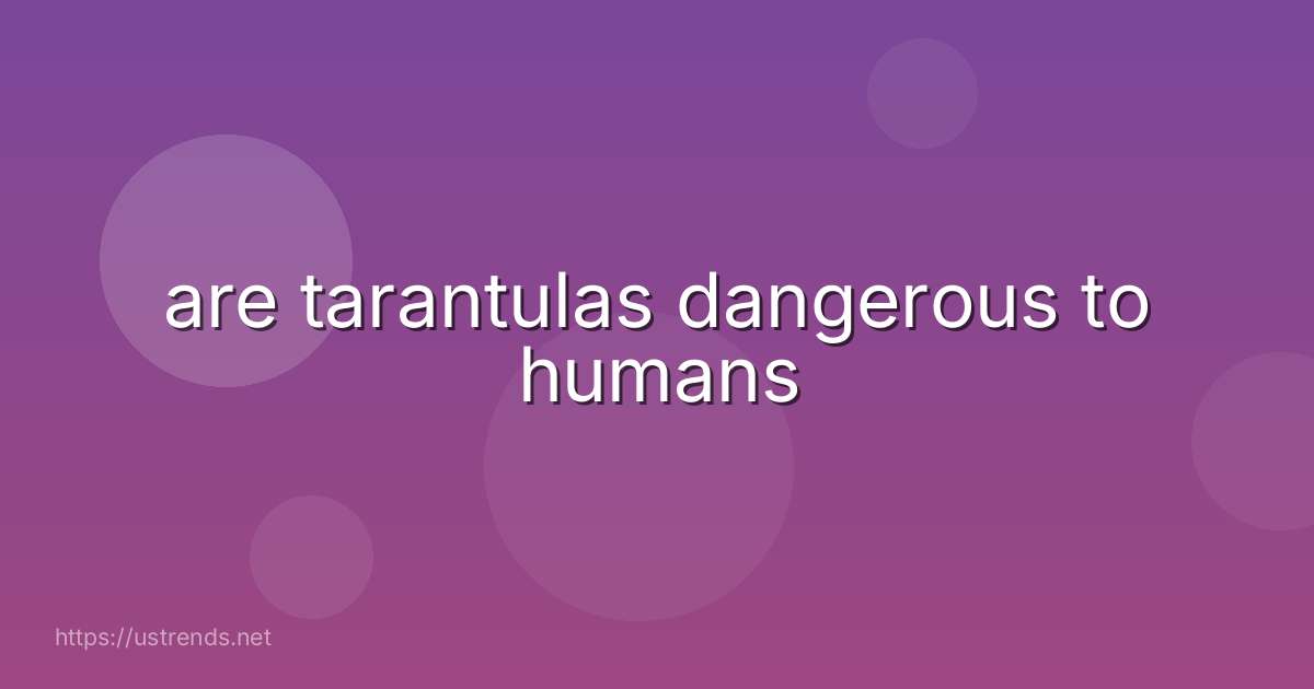 are tarantulas dangerous to humans