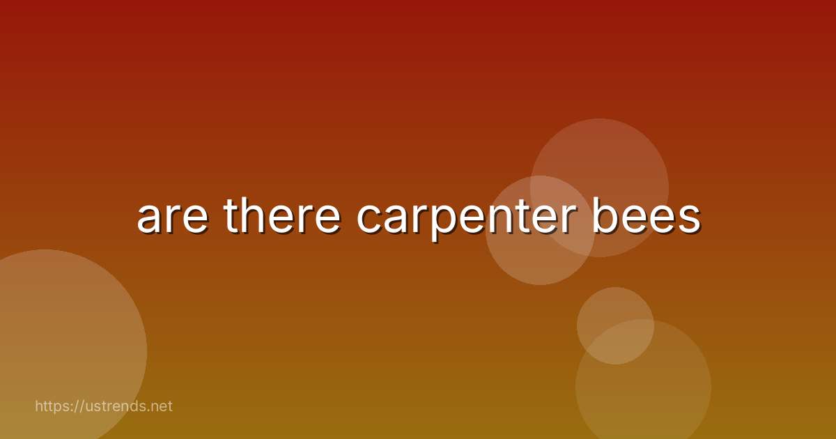 are there carpenter bees