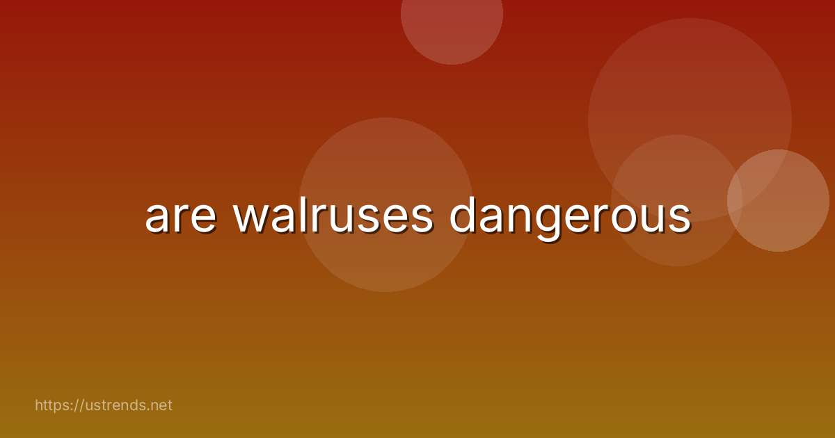 are walruses dangerous