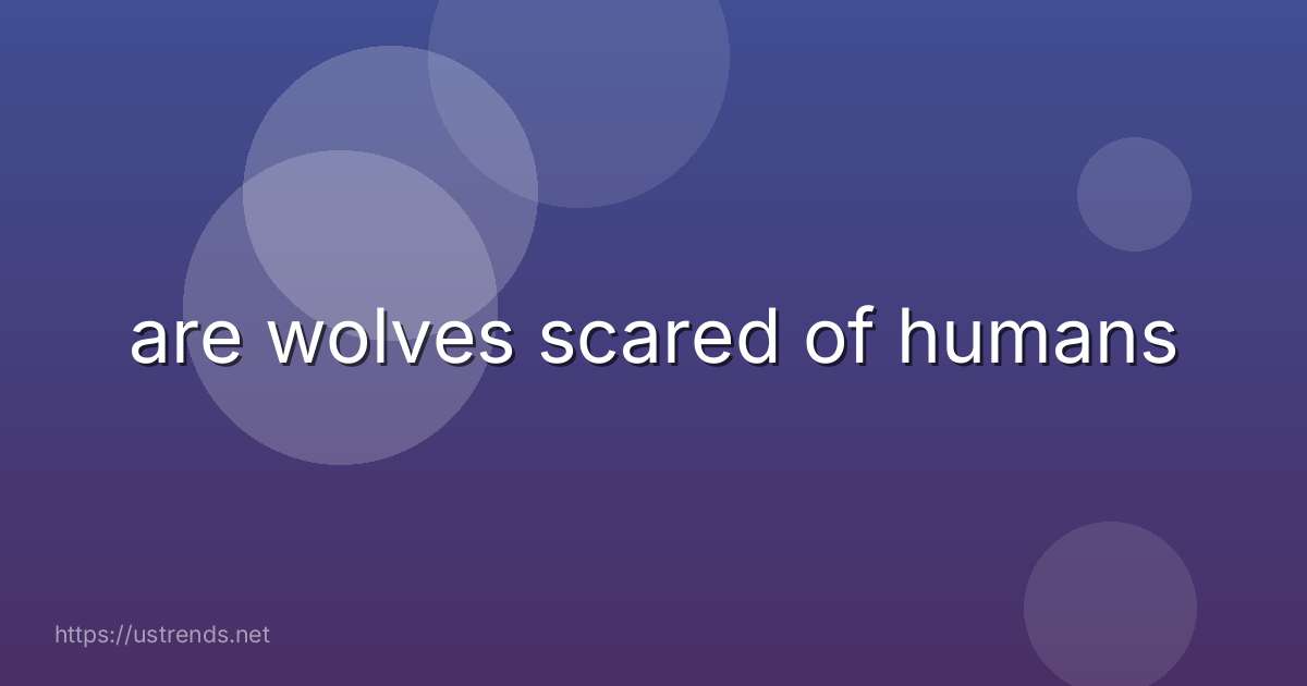 are wolves scared of humans