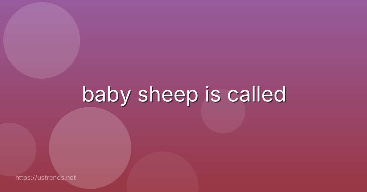baby sheep is called