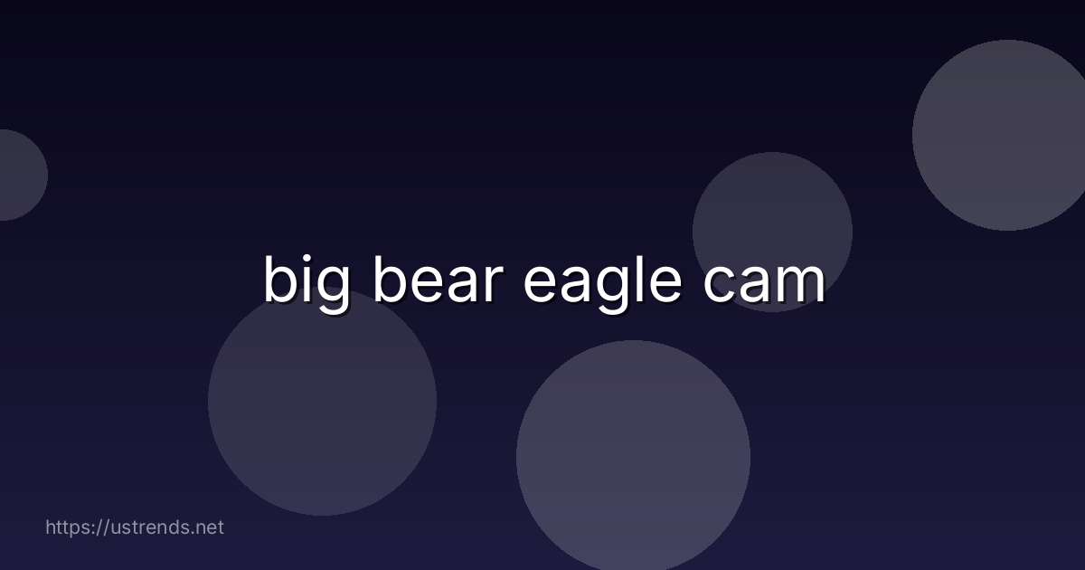 big bear eagle cam