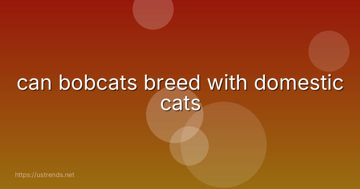 can bobcats breed with domestic cats