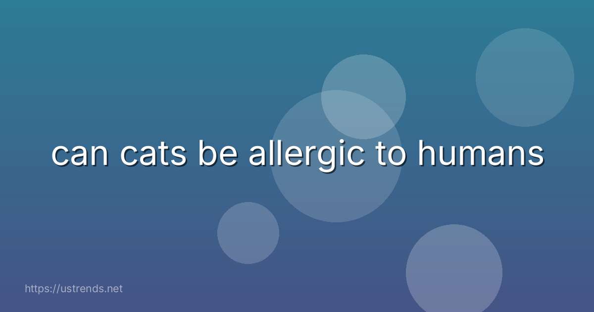 can cats be allergic to humans