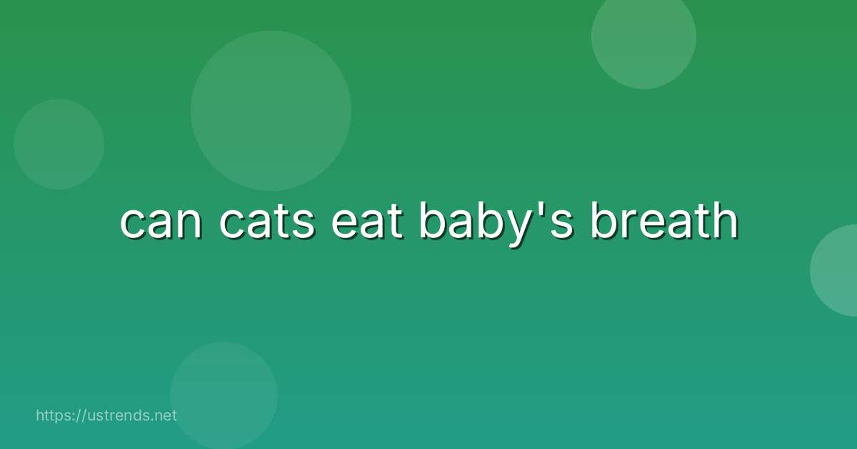 can cats eat baby's breath