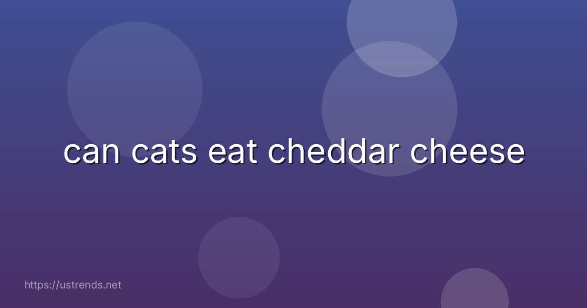 can cats eat cheddar cheese