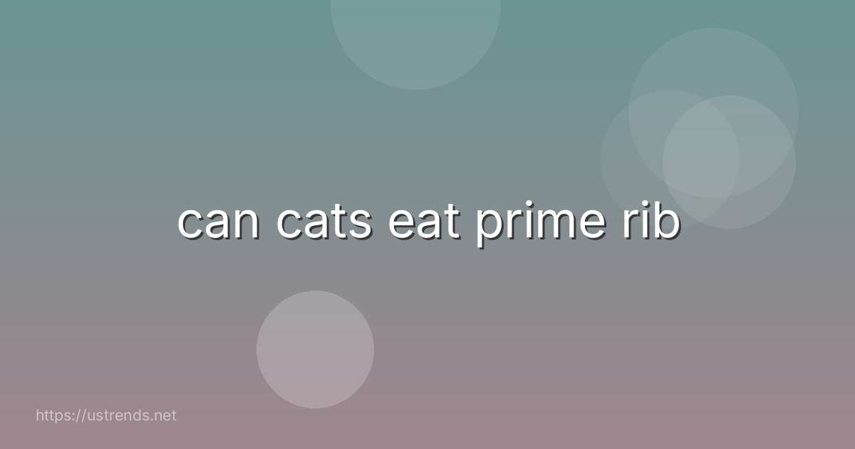 can cats eat prime rib