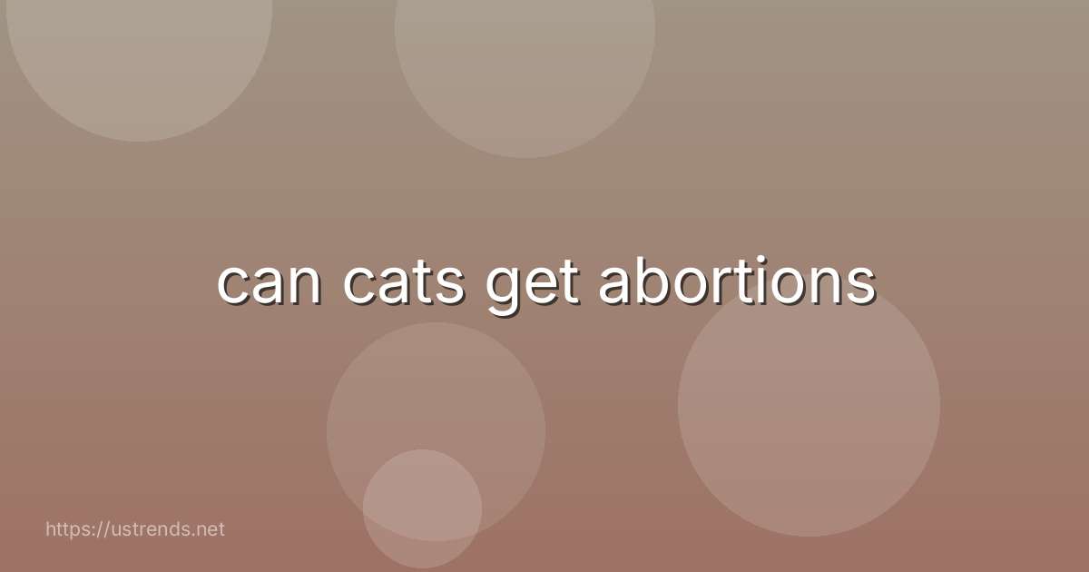 can cats get abortions