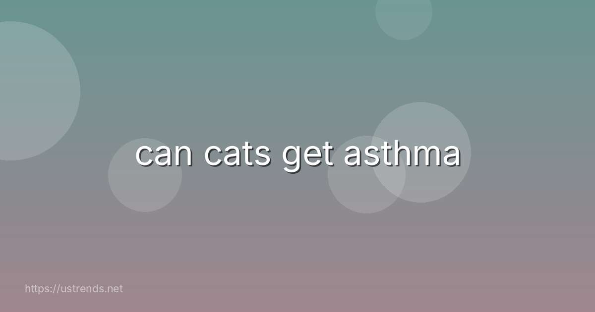 can cats get asthma