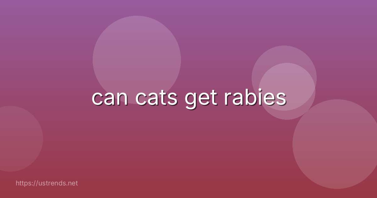 can cats get rabies