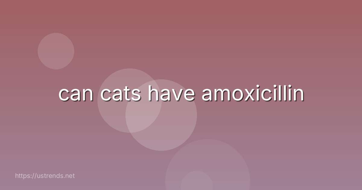 can cats have amoxicillin