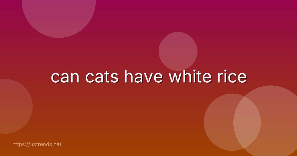 can cats have white rice