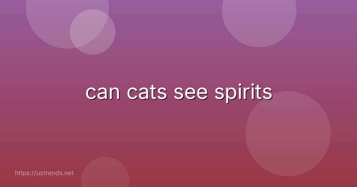 can cats see spirits