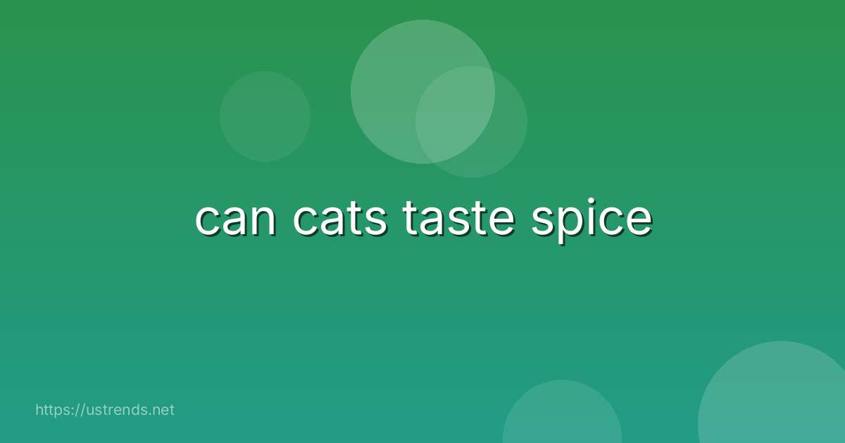 can cats taste spice