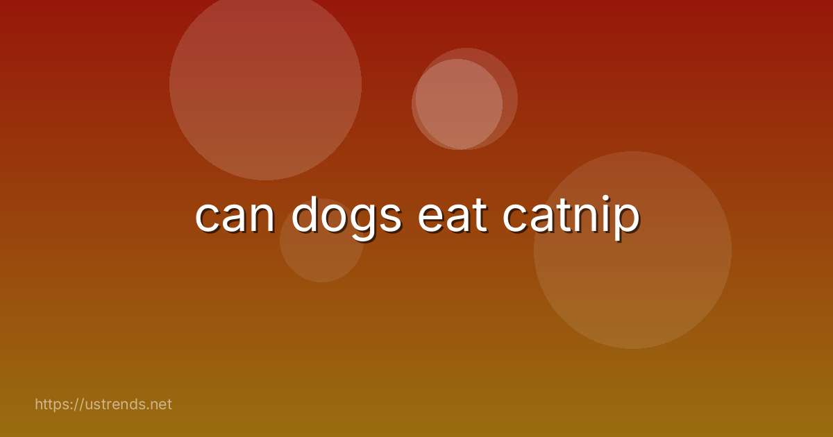 can dogs eat catnip
