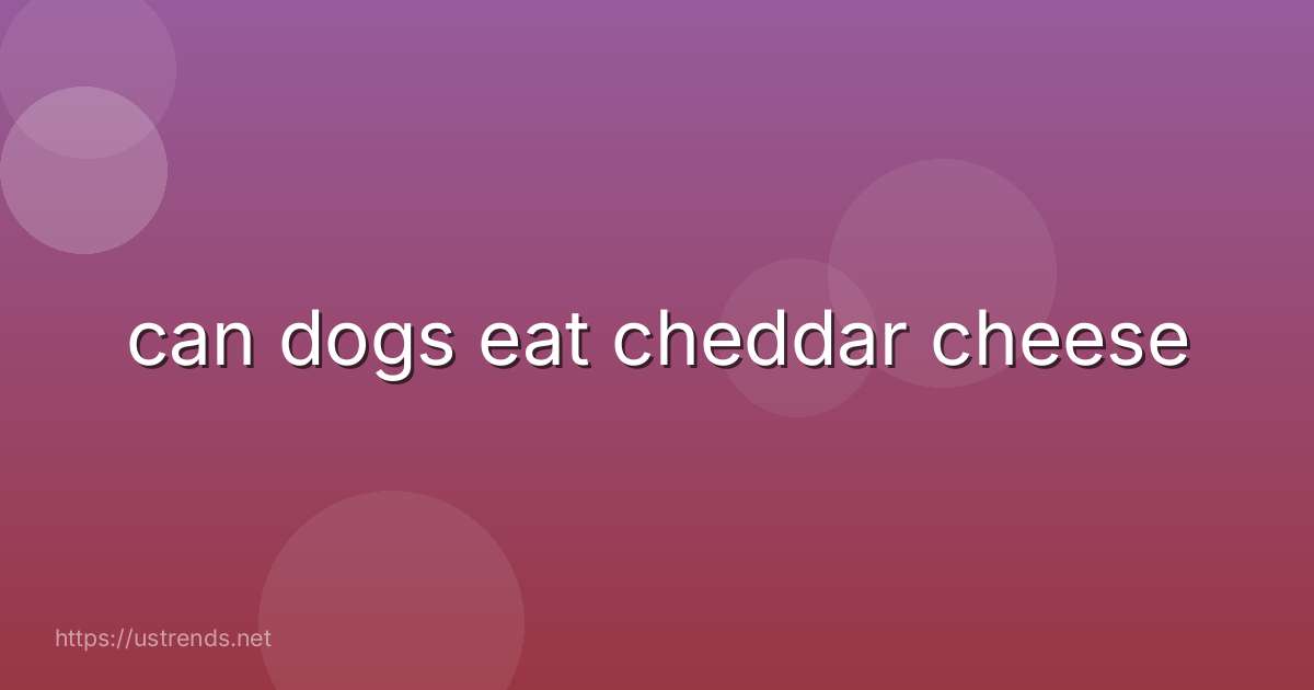 can dogs eat cheddar cheese