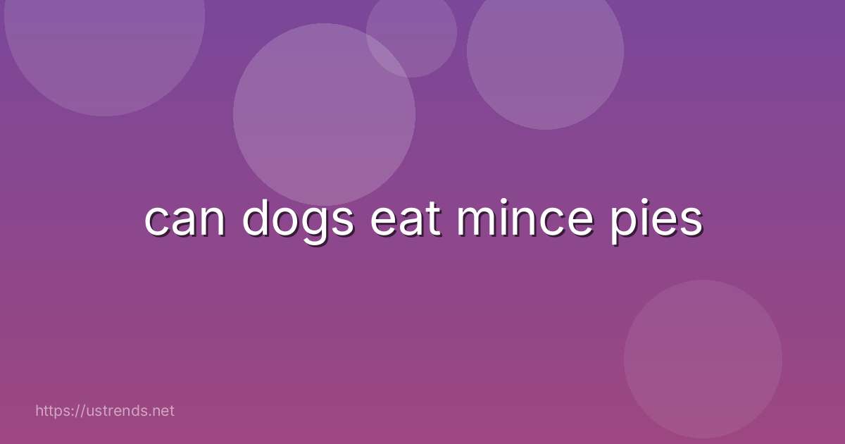 can dogs eat mince pies