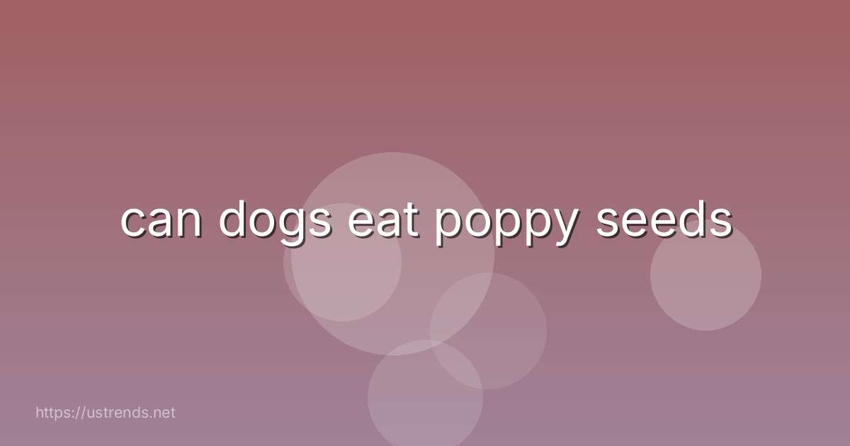 can dogs eat poppy seeds