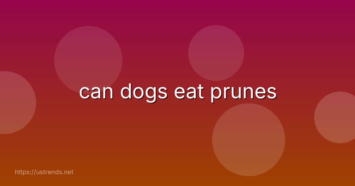can dogs eat prunes