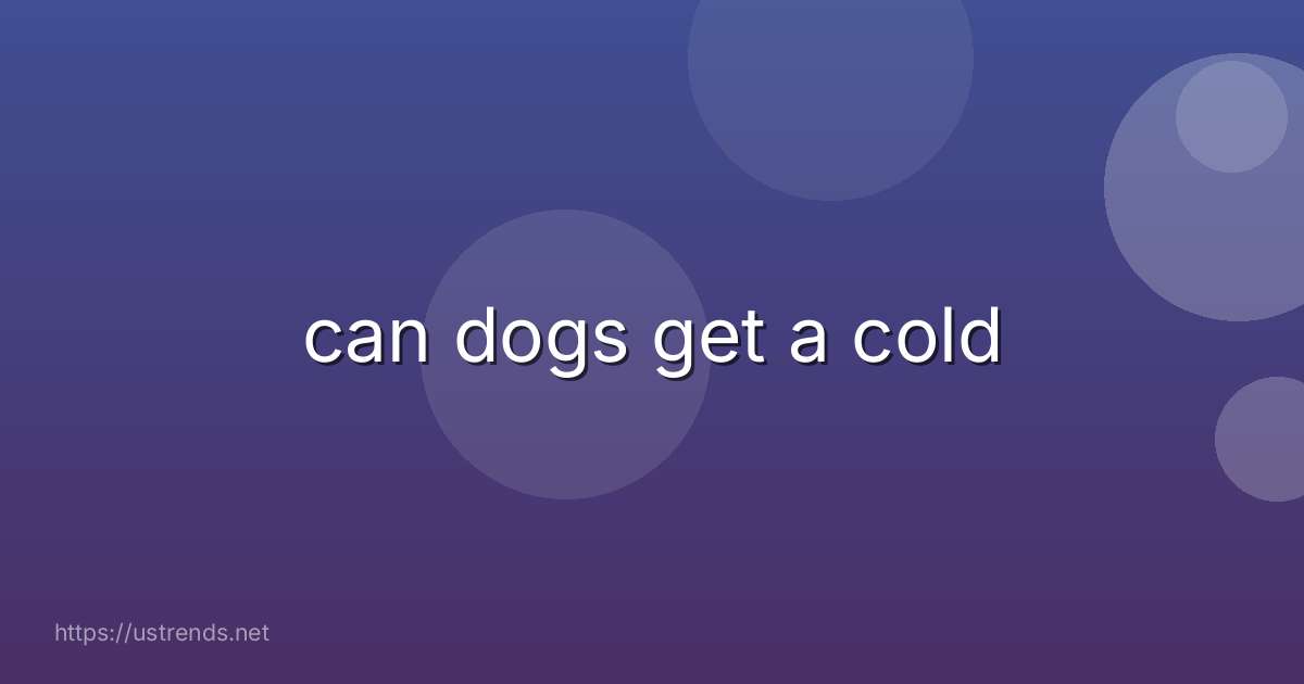 can dogs get a cold